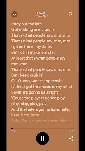 Taylor Swift Shake It Off Lyrics