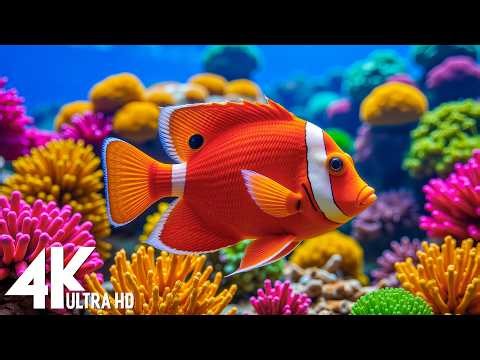 Underwater Wonders 4K - Amazing Fish, Coral Reefs & Sea Animals - Fish Tank Sound For Deep Sleep #19