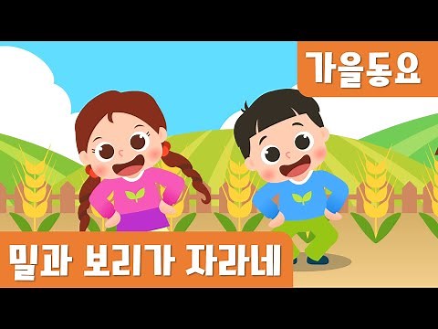 밀과보리가자라네 ｜가을동요｜율동동요