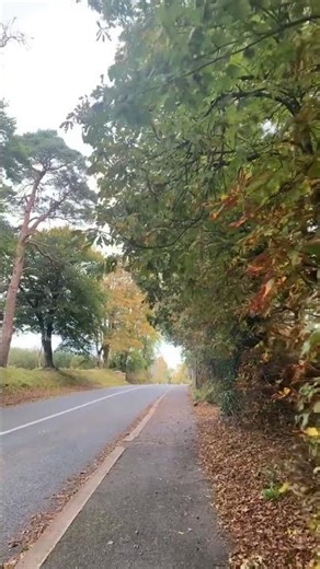 Autumn colours in Leitrim 🍂 A peaceful Irish moment 🇮🇪