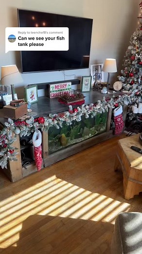 DIY Fish Tank TV Stand with Built-in Storage and Lamps