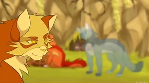 »Star/Juniper« on TikTok