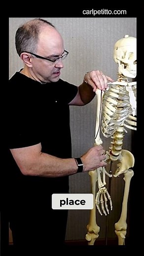 Biceps Tendinitis: Shoulder Pain