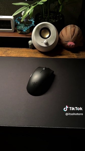 Razer Viper V3 Pro: Gaming Mouse Setup