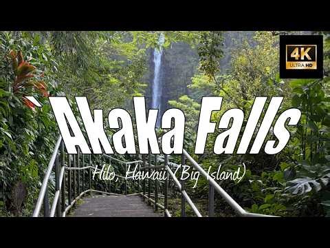 🌿 Walking POV at ʻAkaka Falls State Park | Big Island Hawaii Nature Walk (4K) 🌊