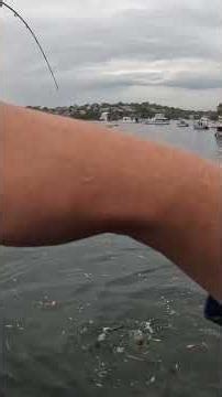 First time using the 2025 Shimano Sustain 3000!!!!