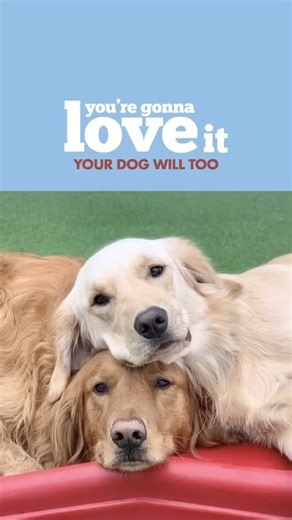 2.1K views | We’ve created a Camp experience that goes beyond simple...