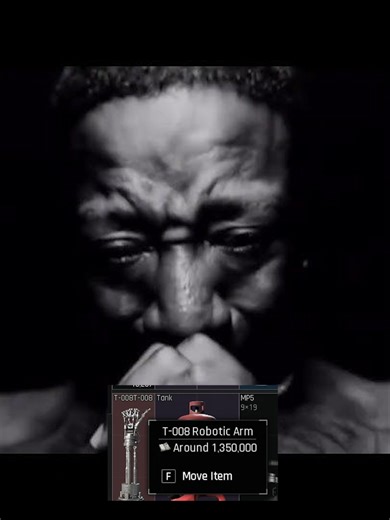 Arena Breakout Meme: That Should Have Been Me