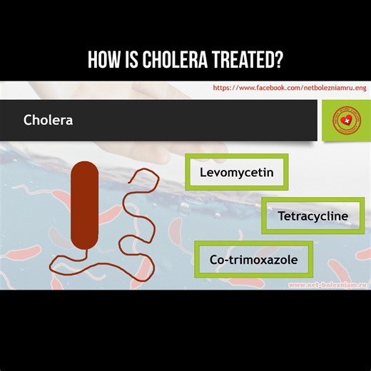 How is cholera treated? #cholera #infection #digestivesystem | About health and science in simple words | Facebook