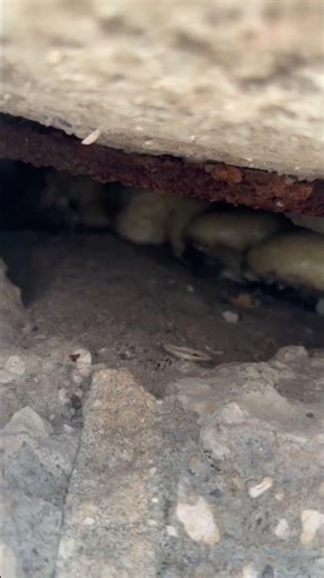 Sinking pool deck? Call or text us and we’ll repair it the most cost-effective way. 727-537-6025