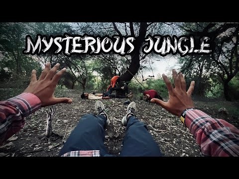 Mysterious Jungle || POV || KUNAL KUSHWAHA