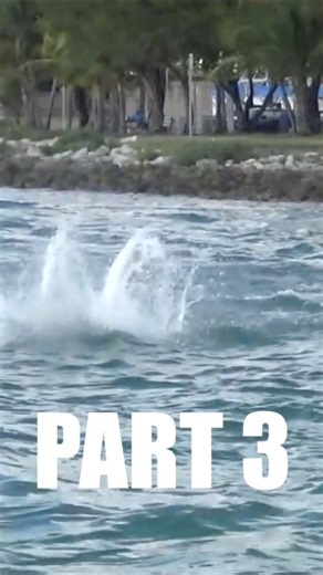 Amazing TARPON Fishing Haulover Inlet Part 3 FISH ON #tarponfishing #inshorefishing #runthatdog #shortsvideos | The Mullet Run