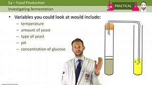 Biotechnology - Fermentation Practical