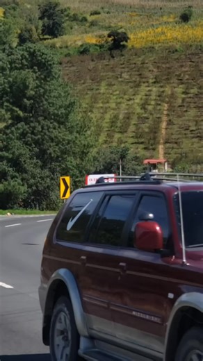 Belleza de Sinaloa: Mini Buses y Pasión por los Viajes