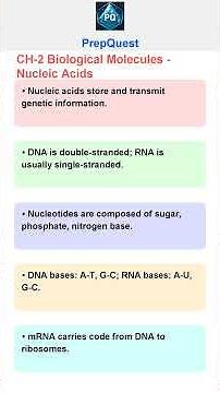 Class 11 Biology – Chapter 2: Biological Molecules | Carbs, Proteins, Lipids, Nucleic Acids & More