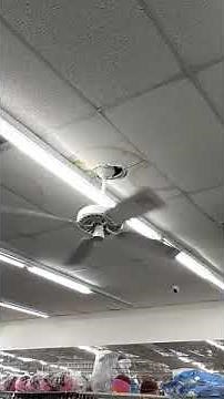 Ceiling Fan About to Fall Down