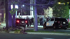 Police fatally shoot suspect near 7-Eleven store after assault report in Reseda