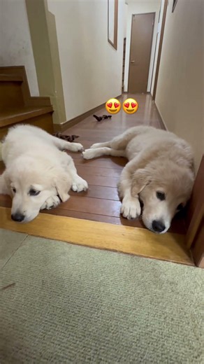 Sleeping 🥱🥱😴😴