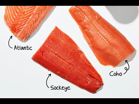 The Fascinating Life Cycle of Salmon (3 Minutes Microlearning)