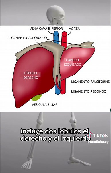 medicinauy on TikTok