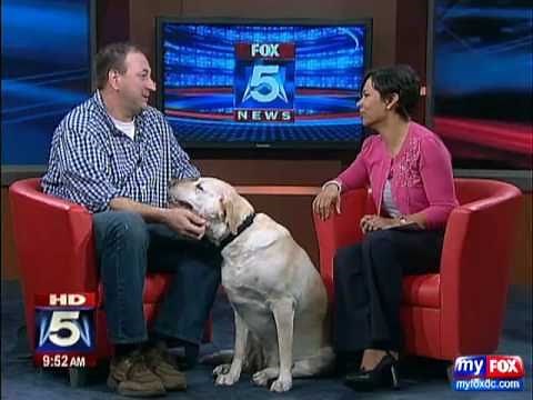 DENVER the Guilty Dog ON FOX DC 5 www.ourguiltydog.com
