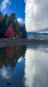 Comox Lake #lakelife #reflections #coolclouds #autumncolors #fall #comoxlake #cumberland #nature #weekendvibes #vancouverisland #BritishColumbia #canada | Comox Valley Wildlife Sightings