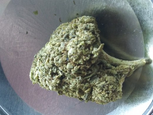 Gorilla OG | Marijuana Strain Reviews