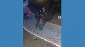 Purse snatcher caught on camera