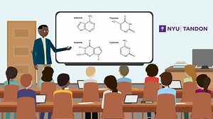 8K views · 13 reactions | Learn more about the Biomolecular Science programme at NYU Tandon School of Engineering - what it would entail, and the many exciting career paths it can open up for graduates. Watch our animation to find out more: | Sci Ani | Facebook