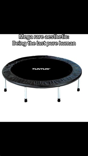 Last Pure Human Aesthetic Explained