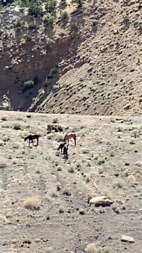 Little Book Cliffs, Colorado