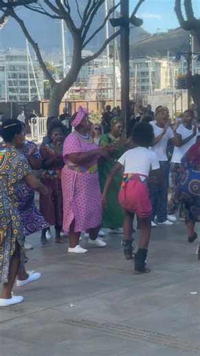 Wild Wonders on Reels