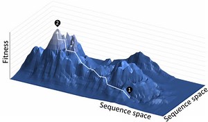Directed evolution - Alchetron, The Free Social Encyclopedia