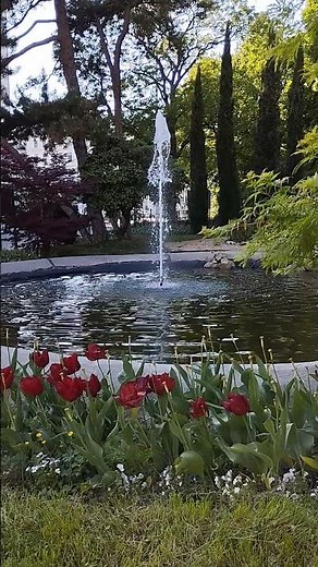 Verba volant, scripta manent