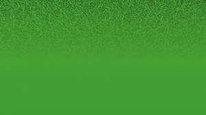 15% off a single item NO EXCLUSIONS! Save on power tools, storage, generators, auto tools, and more. Whatever you do, do it for less at Harbor Freight. | Harbor Freight