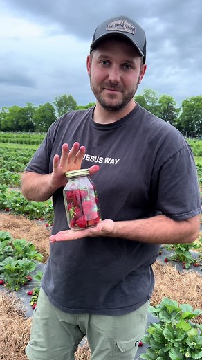 How to Store Fresh Strawberries and Keep Them Fresh Longer