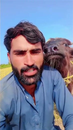 Vpppp🥰🥰🥰❤️❤️