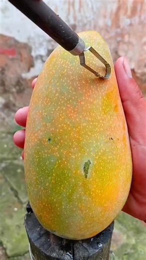 Relaxing ASMR Fruit Sounds for Ultimate Satisfaction