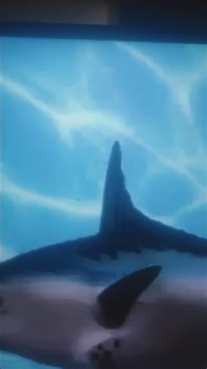 SpongeBob intro fandub Odia season 7