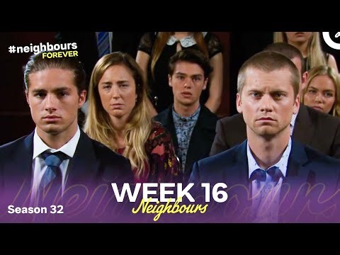 WEEK 16 | Episodes 7346-7350 | Neighbours 2016 (Season 32)