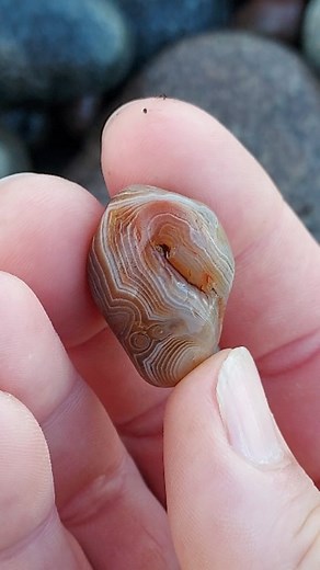 104 reactions · 4 comments | Picking Agates on Lake Superior. Found a small but MIGHTY!! | 13 Agates | Facebook