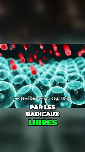 L'huile de pépins de raisin une source d'antioxydants pour votre santé et beauté !