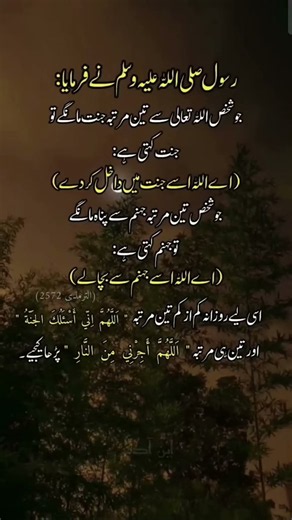 القرآن #سورة_الإخلاص #سورة_الفلق #سورة_الناس #سورة_الكوثر #سبحان_الله #ما_شاء_الله #ذكر #طمأنينة