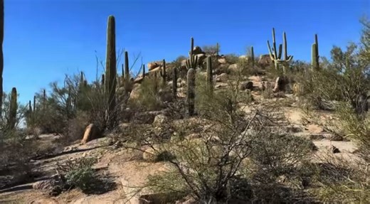 I used to tell myself, “I’ll hike when I have more time.”Then life looked me dead in the eyes and said: nothing is promised.So now? I make the time.I hit the trails. I climb the mountains. I soak in every view and every breath.Because money? It always comes back.But time?Time never does. You’ll never get time back once it’s gone.Some days you’ll fall hard. You’ll feel bruised, tired, and ready to quit. But that’s exactly where your strength is built. Every stumble teaches you something new, ever