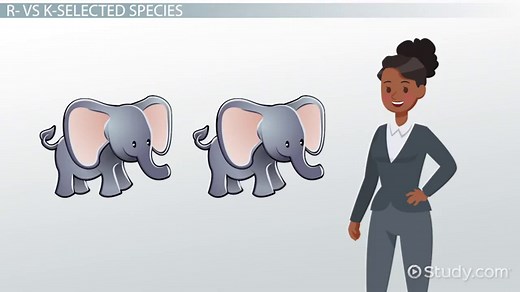 R-Selected vs. K-Selected Species | Overview & Population Growth