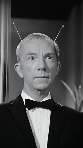 @bitchvirtuosity on Instagram: "Character actor Ray Walston, born on this day in 1914. Remembered for his role in the TV series,👽 “My Favorite Martian.” Won an Emmy for “Picket Fences.” Also remembered as “Mr. Hand” from “Fast Times at Ridgemont High” & other memorable film roles. 🎥 :Who's Minding the Store? (1963) Great cast in this Jerry Lewis screwball comedy. McGiver, Jill St. John, Agnes Moorehead Peggy Mondo and Ray Walston lead the cast."