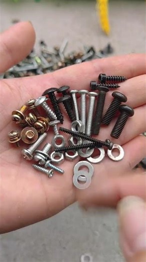 Ultimate Mixed Screw Collection - Your One-Stop Shop