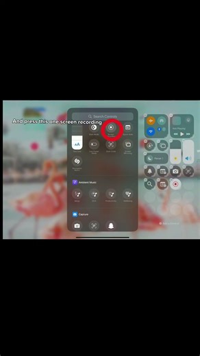 How to screen record! #fy #tutorial #4urpage #youtube #summer #viral #plsdontflop #likeandsubscribe