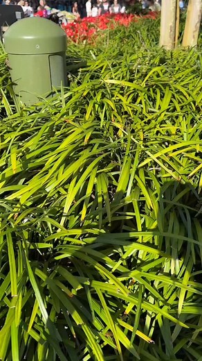 3.6K views · 35 reactions | Happy Pin Tuesday! Disney released new limited edition pins!  Which pin is your favorite? ✨ Let us know in the comments below! For more on the Disney Parks visit our website at WDWNT.com! #disneypin #pintuesday #epcot #disneylimitedpins #gingerbreadpin #disneyparks #waltdisneyworld #disney #disneyworld #wdwnt | WDW News Today | Facebook