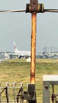 【激レア機】China Eastern着陸後に、コーラ塗装のベトジェットA330離陸 ｜China Eastern Airlines Boeing 737-89P